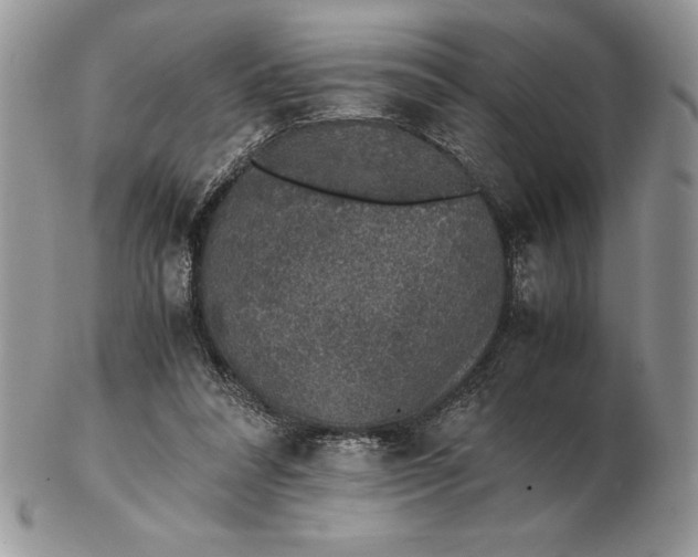 X0000102380304200808221808