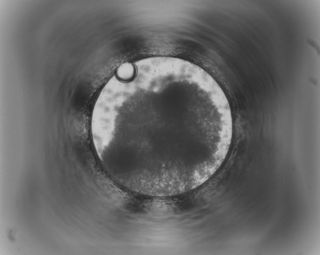 X0000102380305200808221808