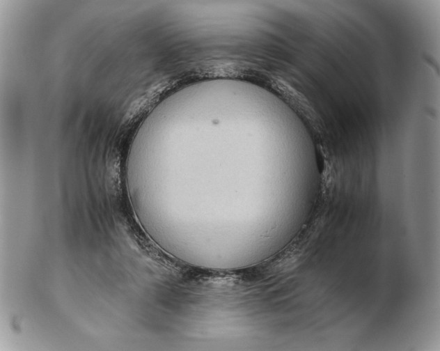 X0000102380306200808221808