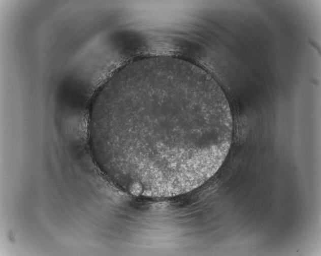 X0000102380309200808221808