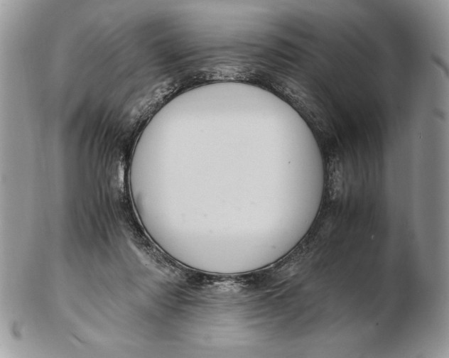 X0000102380310200808221808