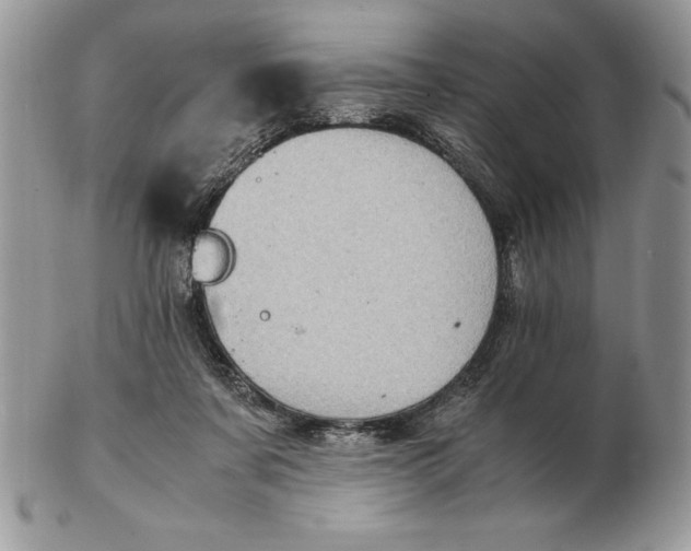 X0000102380311200808221808