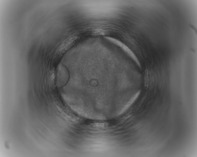 X0000102380314200808221808