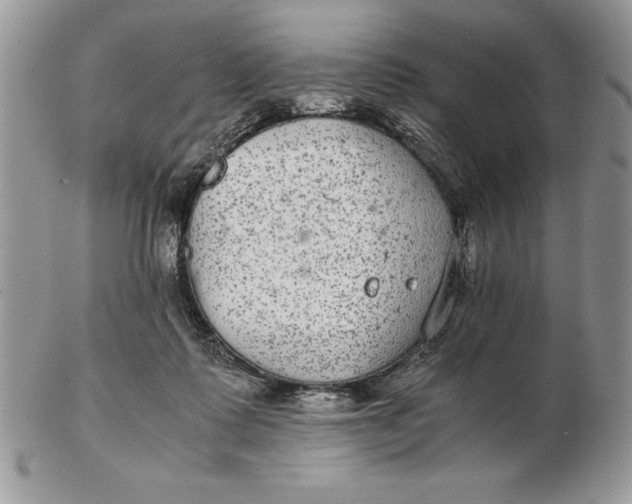 X0000102380315200808221808