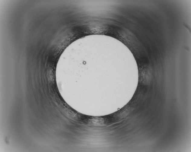 X0000102380317200808221808