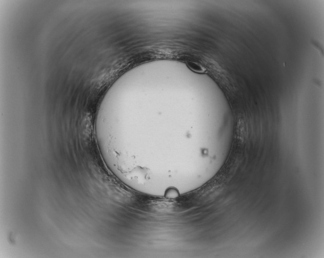 X0000102380318200808221808