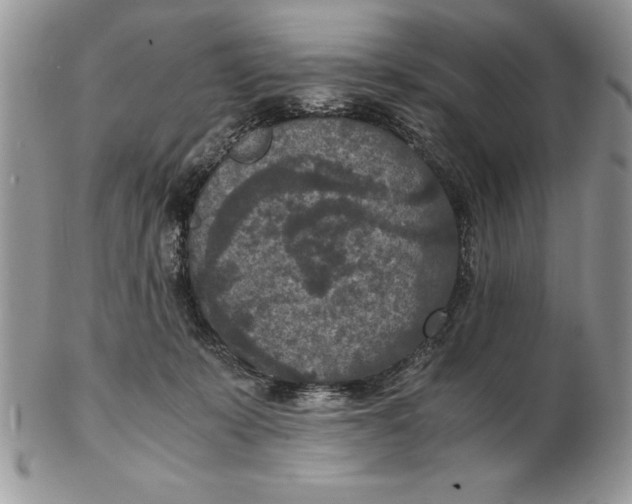 X0000102380319200808221808