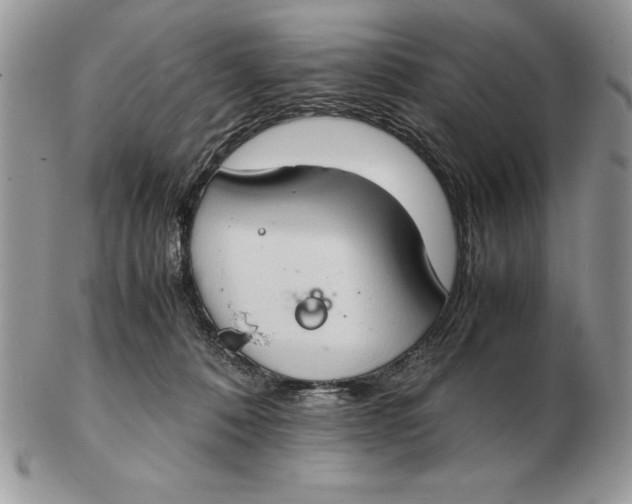 X0000102380320200808221808