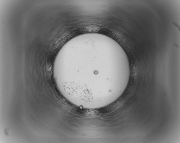 X0000102380321200808221808