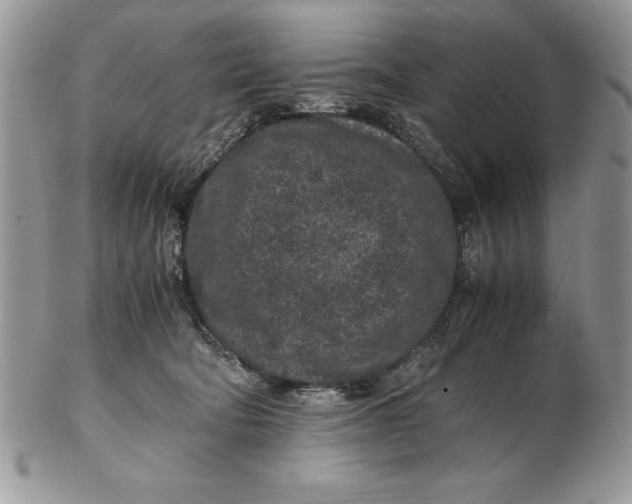 X0000102380322200808221808