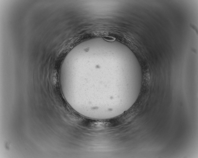 X0000102380323200808221808