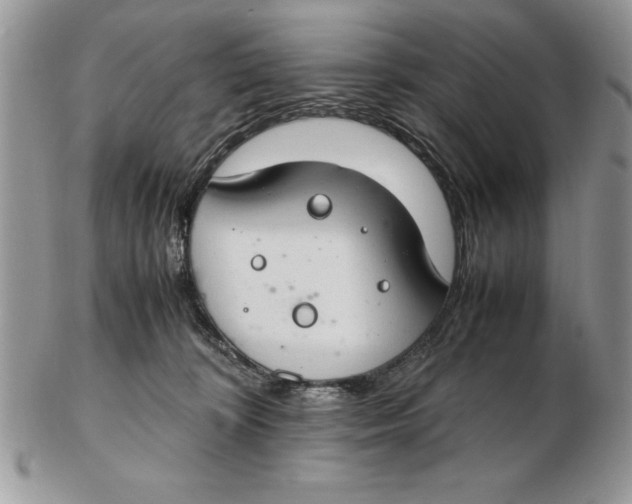 X0000102380324200808221808