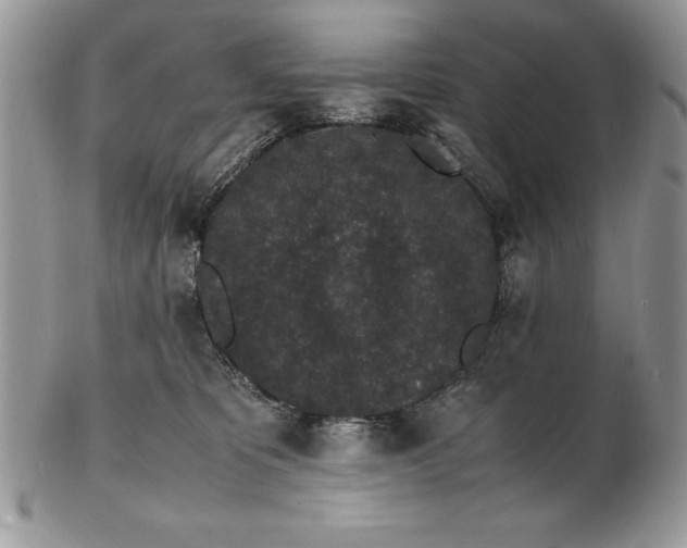 X0000102380325200808221808