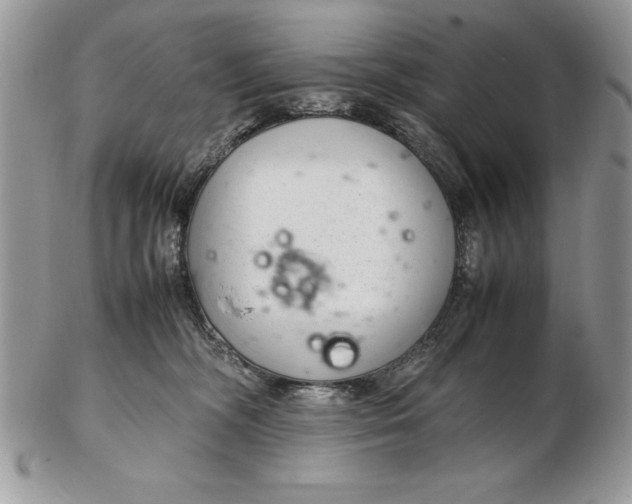 X0000102380326200808221808