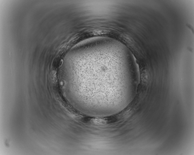 X0000102380327200808221808