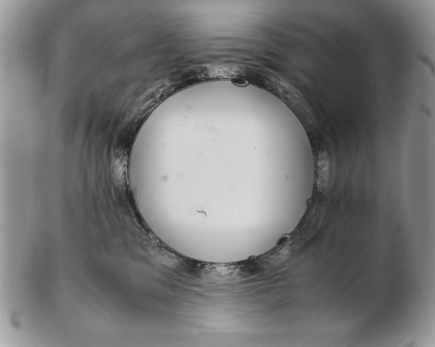 X0000102380329200808221808