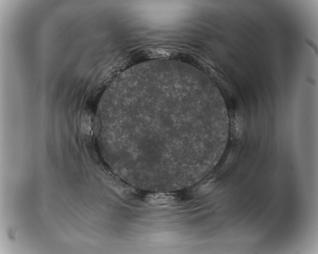 X0000102380331200808221808