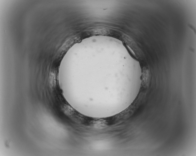 X0000102380333200808221808