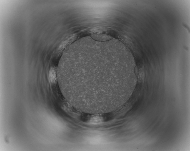 X0000102380335200808221807