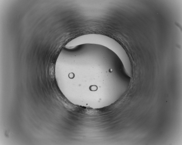 X0000102380336200808221807