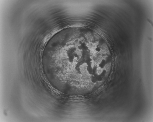 X0000102380337200808221807