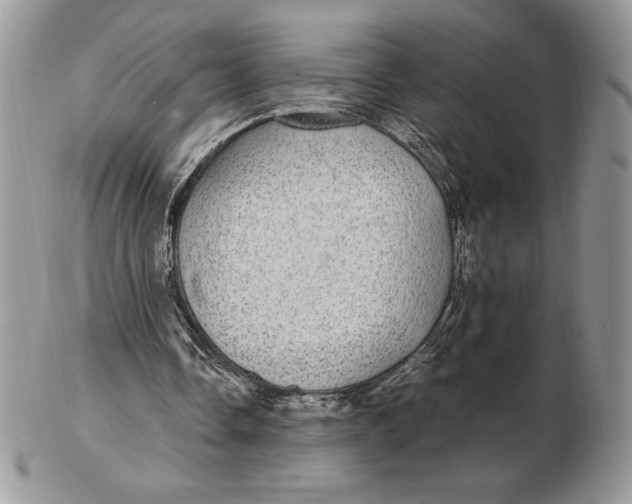 X0000102380338200808221807