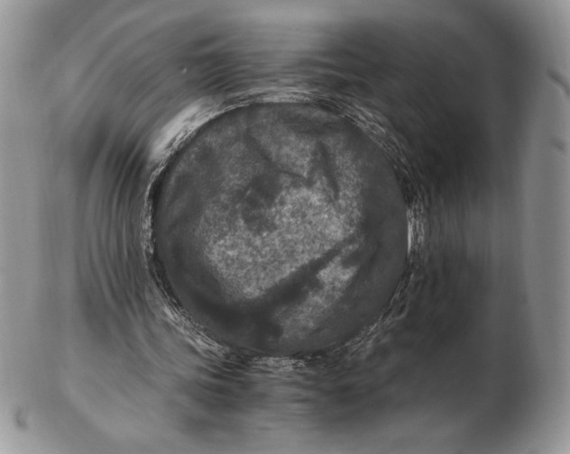 X0000102380339200808221807