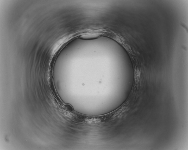 X0000102380340200808221807