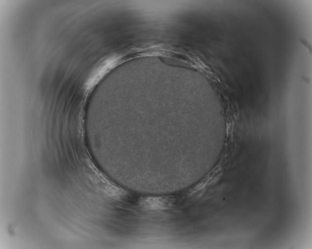 X0000102380341200808221807