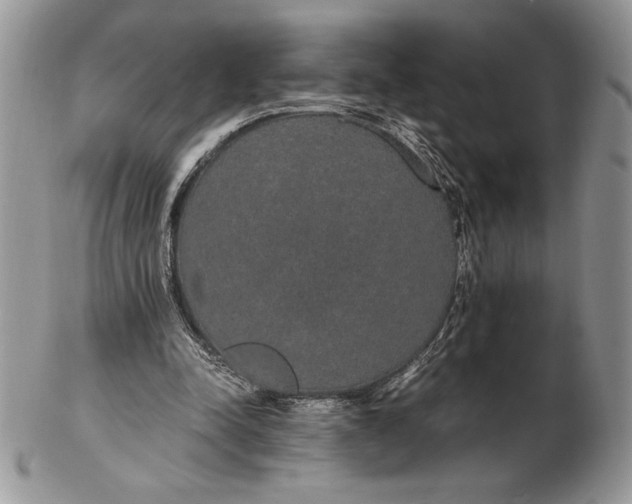 X0000102380342200808221807