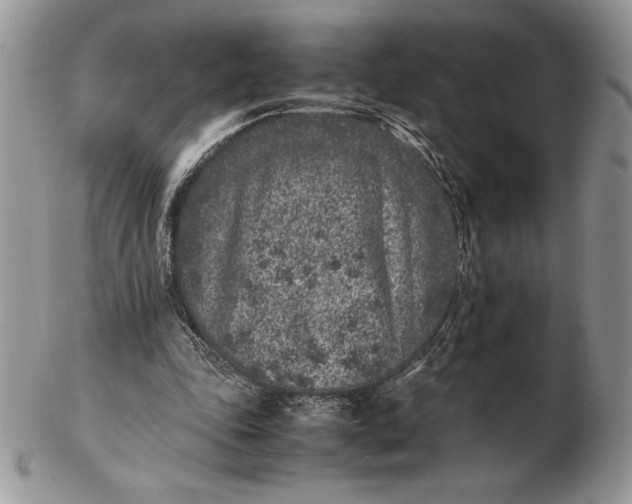 X0000102380343200808221807