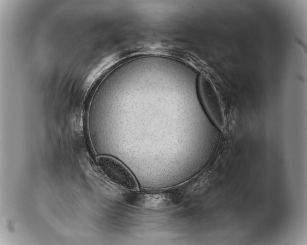 X0000102380344200808221807