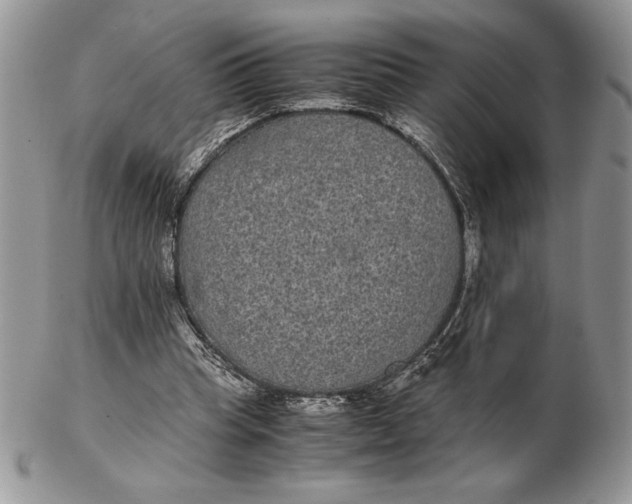 X0000102380345200808221807