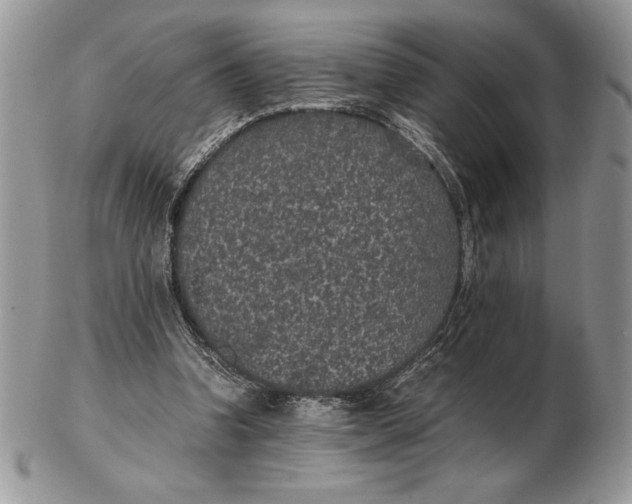 X0000102380346200808221807