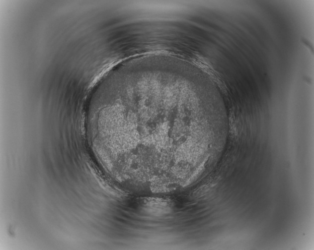 X0000102380347200808221807