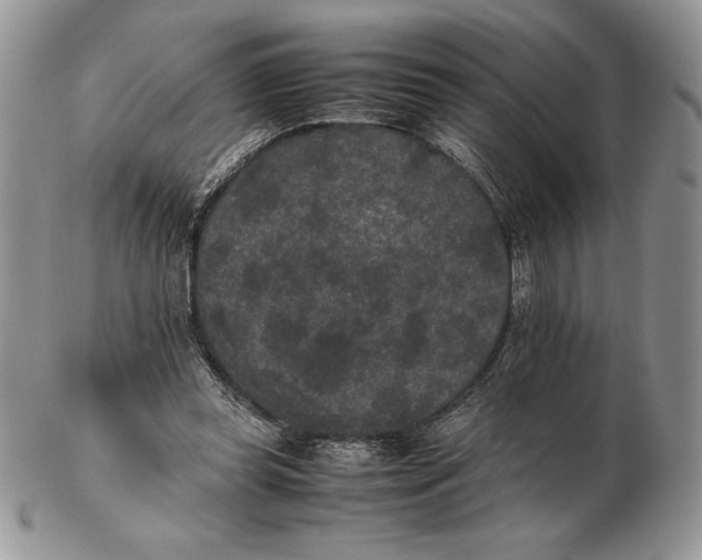 X0000102380349200808221807