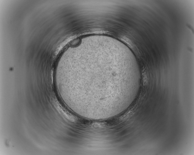 X0000102380350200808221807