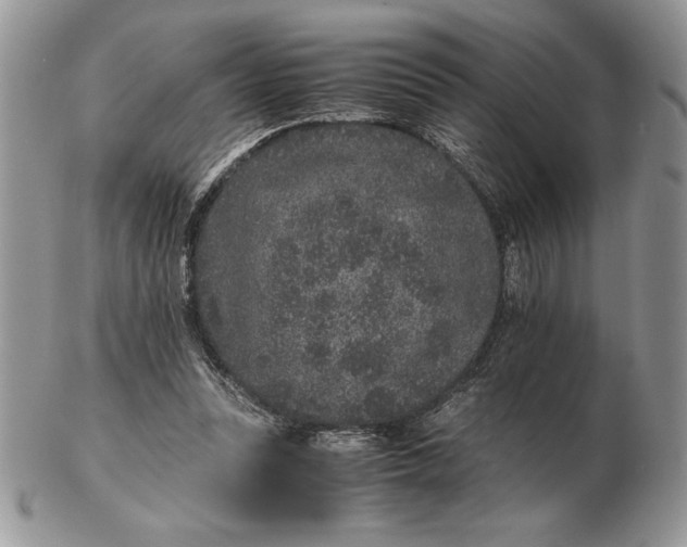 X0000102380351200808221807