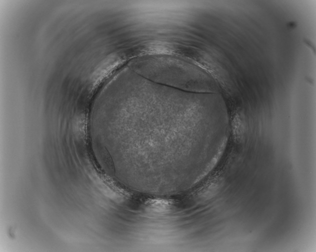 X0000102380352200808221807