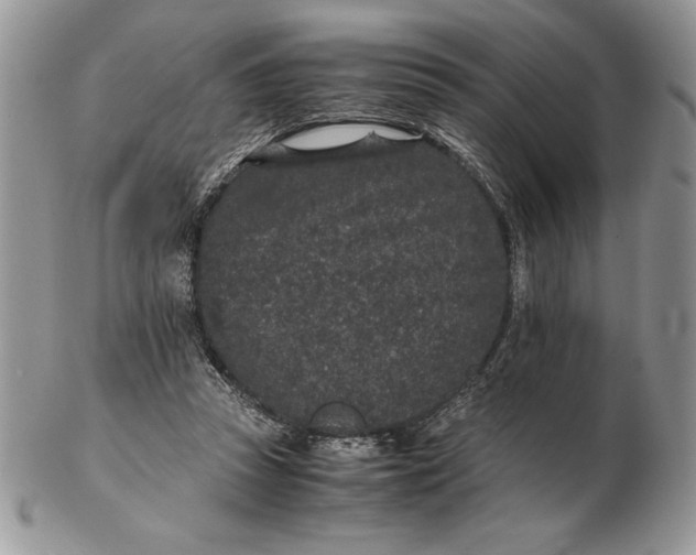 X0000102380353200808221807