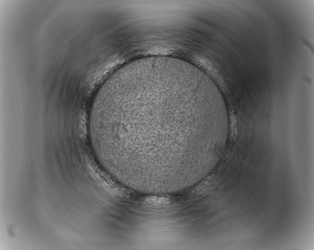 X0000102380354200808221807