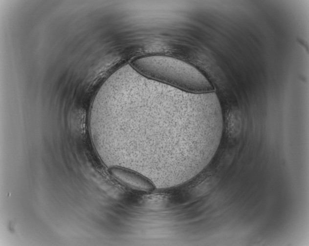 X0000102380356200808221807