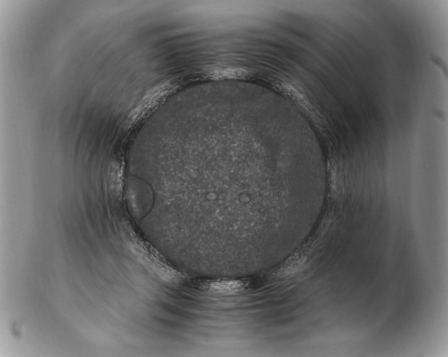 X0000102380357200808221807