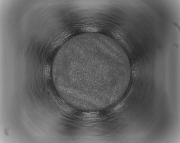 X0000102380359200808221807