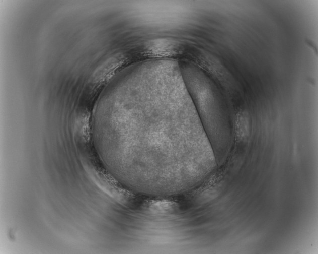 X0000102380360200808221807