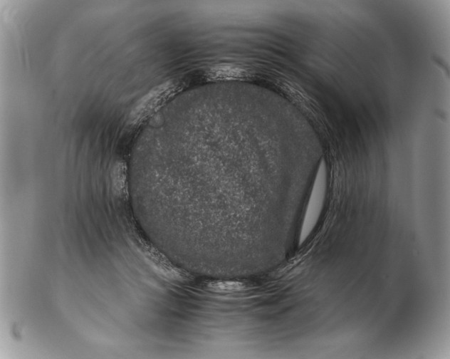 X0000102380361200808221807