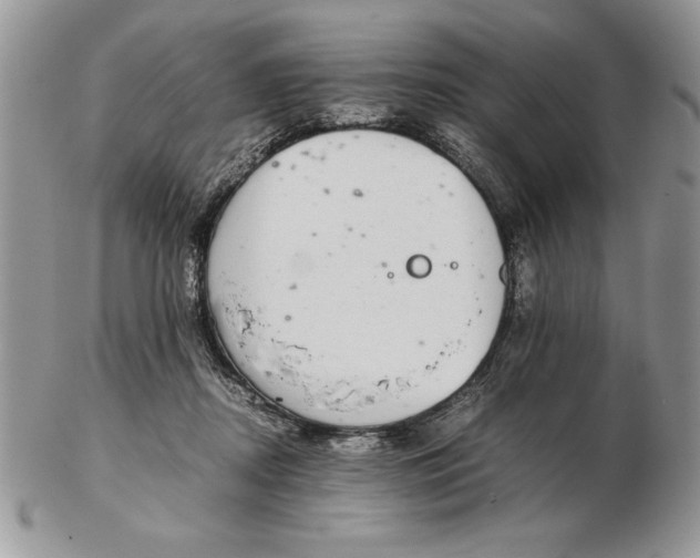 X0000102380362200808221807