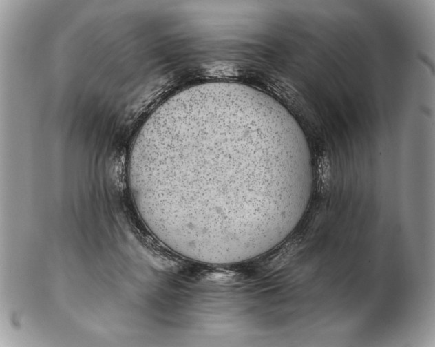 X0000102380364200808221807