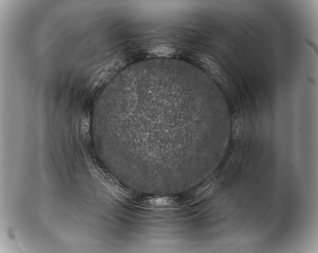 X0000102380365200808221807