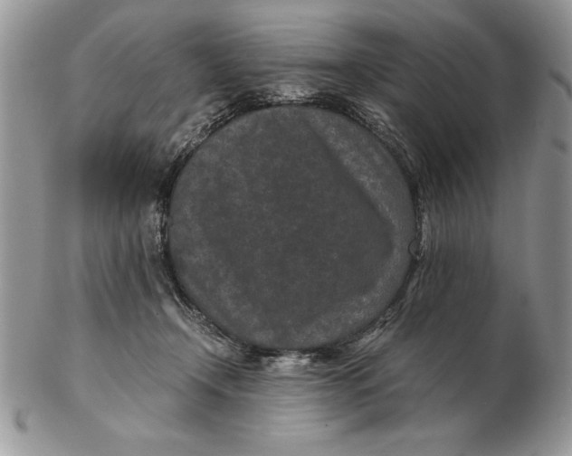 X0000102380366200808221807